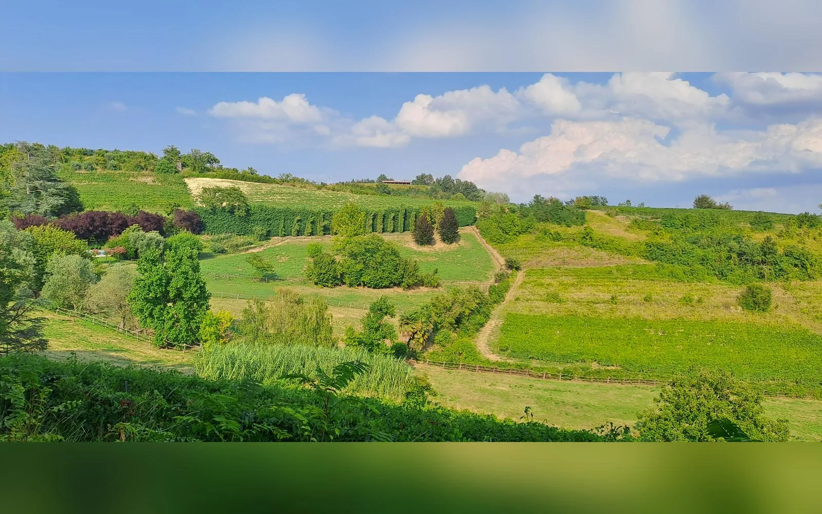 Esterni di Casa del Miglio, Castell'Alfero (Piemonte) (foto 2)