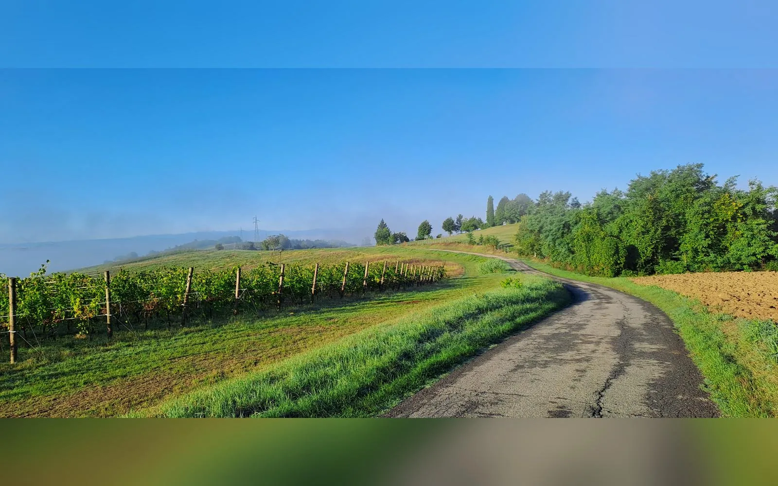 Esterni di Casa del Miglio, Castell'Alfero (Piemonte) (foto 3)