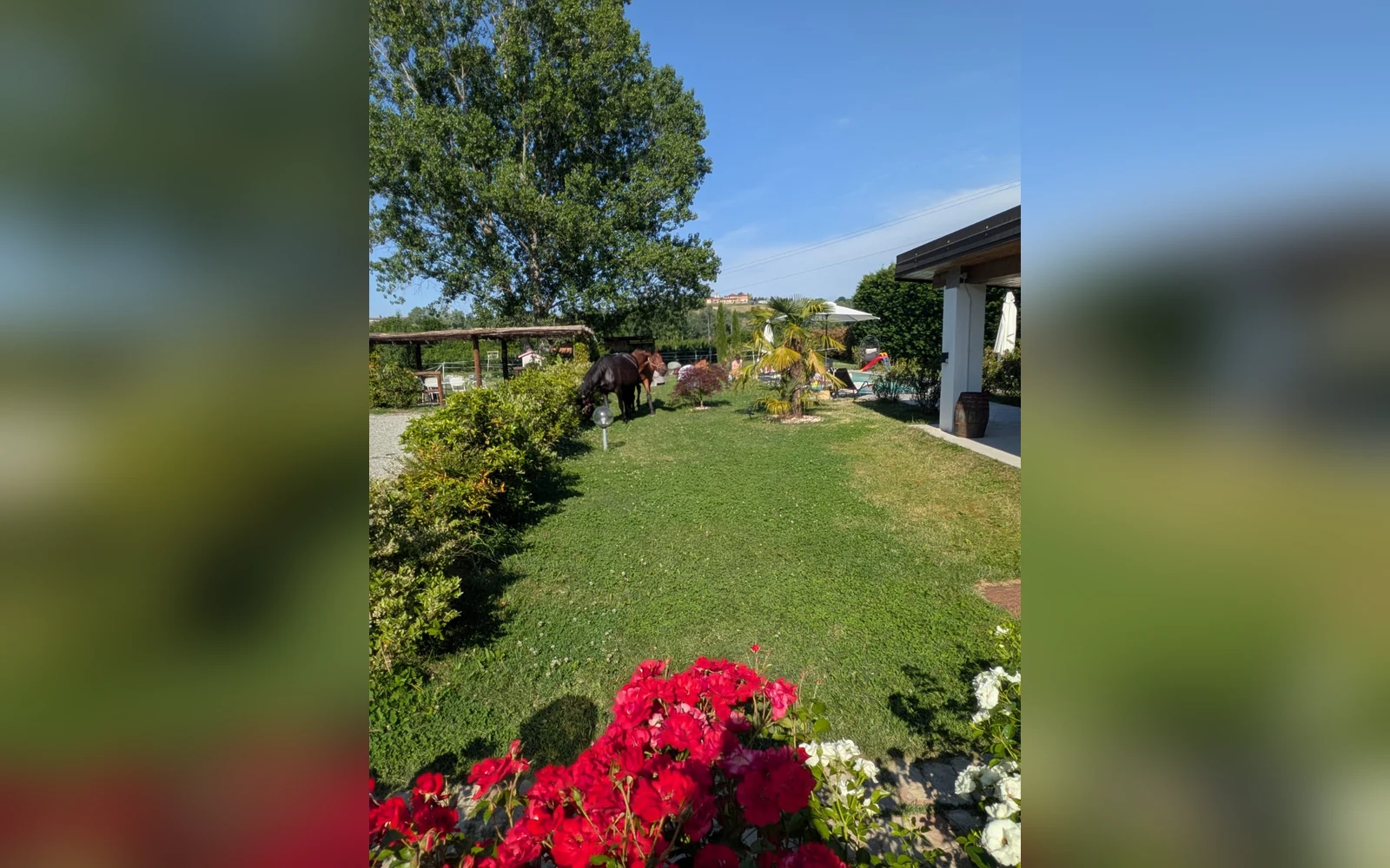 Esterni di Casa del Miglio, Castell'Alfero (Piemonte) (foto 79)