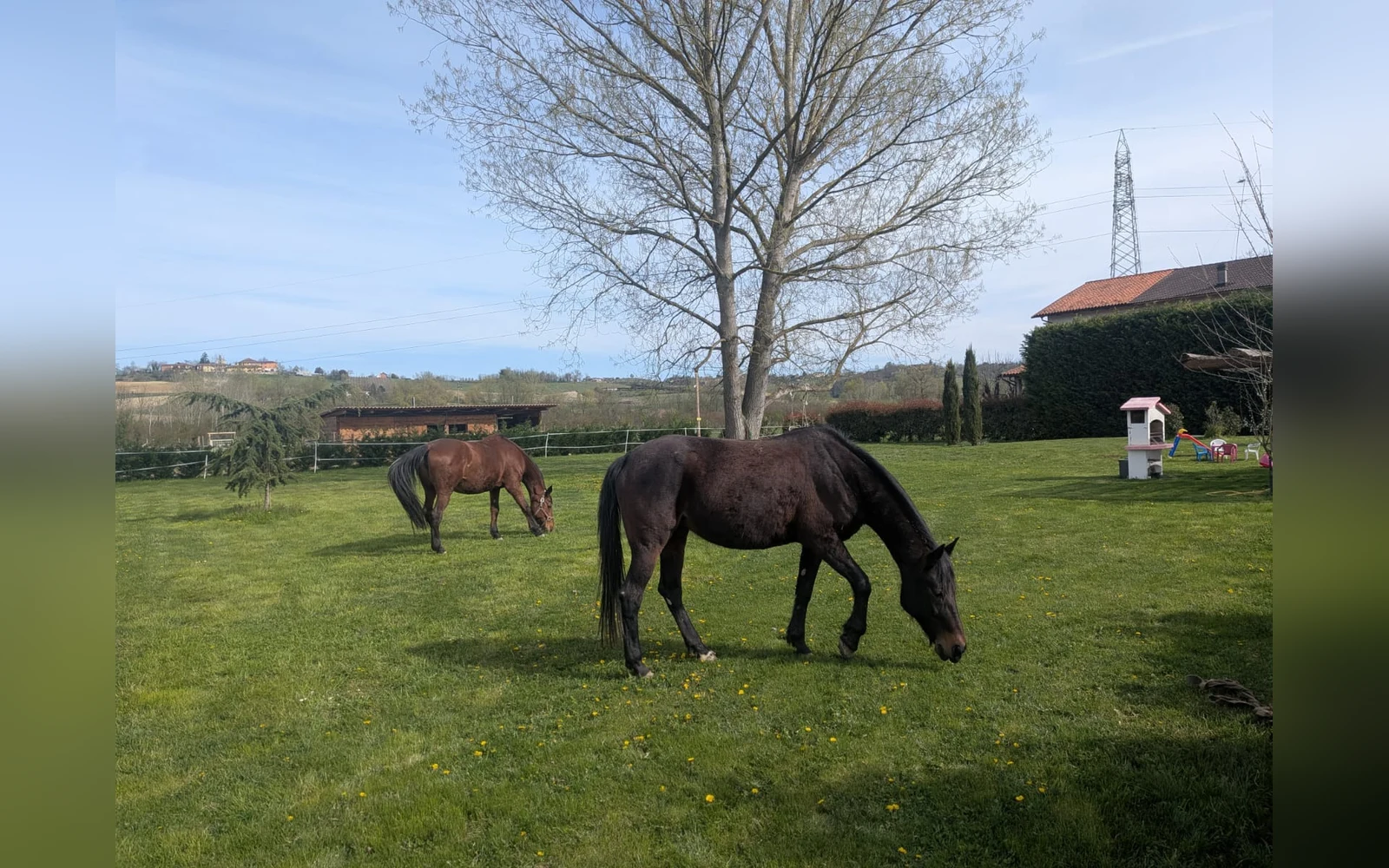 Esterni di Casa del Miglio, Castell'Alfero (Piemonte) (foto 81)